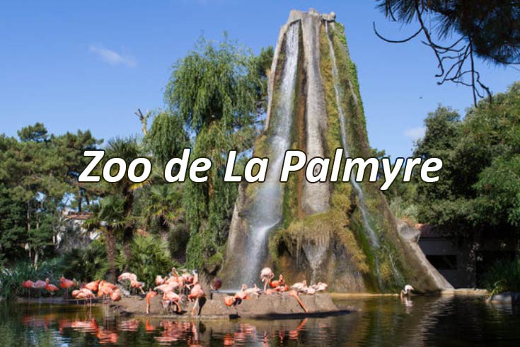 Zoo de La Palmyre et ses célèbres flamants roses